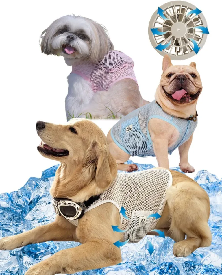 Keep Your Dog Cool with the Cool Dog Cooling Vest – Best Way to Beat the Heat!