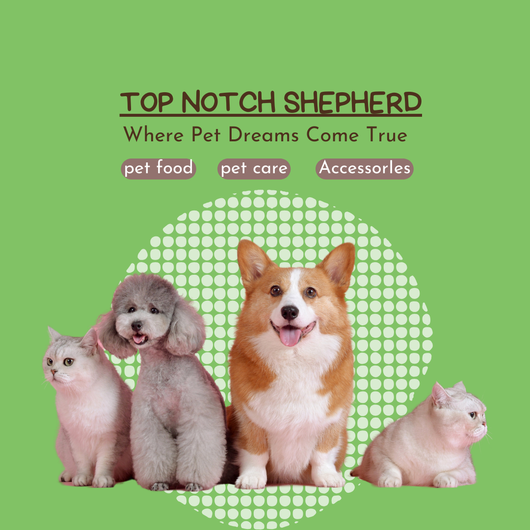 Top Notch Shepherd